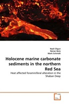 Reine Botz, Reiner Botz, Nazl Olgun, Nazli Olgun, Mark Schmidt - Holocene marine carbonate sediments in the northern Red Sea