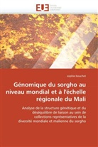Sophie Bouchet, Bouchet-S - Genomique du sorgho au niveau