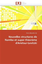 Pierre-Alexandre Gie, Gie-P - Nouvelles structures de nambu et
