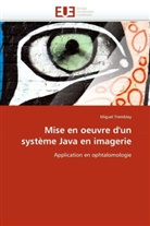 Miguel Tremblay, Tremblay-m - Mise en oeuvre d un systeme java