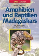 Friedrich Wilhel Henkel, Friedrich Wilhelm Henkel, Kn, Knöthi, Michael Knöthing, Klaus Liebel... - Amphibien und Reptilien Madagaskars, der Maskarenen, Seychellen und Komoren