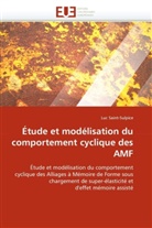 Luc Saint-Sulpice, Saint-Sulpice-L - Etude et modelisation du