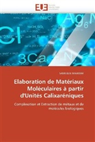 Sami Ben Maamar, Maamar-S - Elaboration de materiaux
