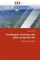 Roumen Nedev, Nedev-R - Enveloppes convexes des plans