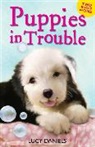 Lucy Daniels - Puppies in Trouble