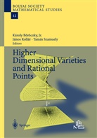 K. Böröczky, Karoly Böröczky, Károly Böröczky, Károly Jr. Böröczky, Janos Kollar, Jáno Kollár... - Higher Dimensional Varieties and Rational Points