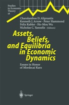 Charalambos Aliprantis, Charalambos D. Aliprantis, K. J. Arrow, Kenneth J. Arrow, Peter Hammond, Peter Hammond et al... - Assets, Beliefs, and Equilibria in Economic Dynamics