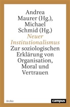 Andrea Maurer, Andrea  Schmid Maurer, Michael Schmid - Neuer Institutionalismus