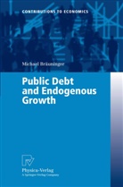 Michael Bräuninger - Public Debt and Endogenous Growth