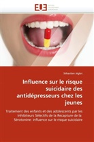 Sébastien Jéglot, Jeglot-S - Influence sur le risque