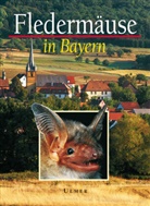 Angelika Meschede, Bayerisches Landesamt f. Umweltschutz, Bund Naturschutz in Bayern e.V., Landesbun f  Vogelschutz in Bayern e V, Landesbun für Vogelschutz in Bayern e V, Landesbund für Vogelschutz in Bayern e V... - Fledermäuse in Bayern
