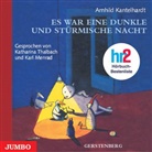 Arnhild Kantelhardt, Arnhildt Kantelhardt, Karl Menrad, Katharina Thalbach - Es war eine dunkle und stürmische Nacht, 2 Audio-CDs (Audio book)