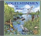 Vogelstimmen, Audio-CDs - Ed.3: Vogelstimmen am Wasser, 1 Audio-CD (Hörbuch)