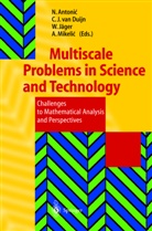 Nenad Antonic, C. J. Van Duijn, C.J. van Duijn, J van Duijn, C J van Duijn, Willi Jäger... - Multiscale Problems in Science and Technology