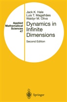 J. K. Hale, Jack Hale, Jack K Hale, Jack K. Hale, L. Magalhaes, Luis Magalhaes... - Dynamics in Infinite Dimensions