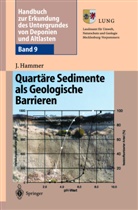 J. Hammer, Jörg Hammer, Klaus Knödel - Handbuch zur Erkundung des Untergrundes von Deponien und Altlasten - 9: Quartärsedimente als Geologische Barrieren