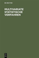 Ludwig Fahrmeir, Alfre Hamerle, Alfred Hamerle, Gerhard Tutz - Multivariate statistische Verfahren
