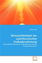 Cevher Topal - Wirtschaftlichkeit der solarthermischen Freibaderwärmung