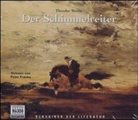Theodor Storm, Peter Franke - Der Schimmelreiter, 3 Audio-CDs (Audio book)