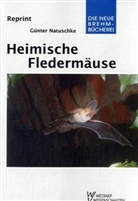 Günter Natuschke - Heimische Fledermäuse
