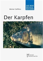 Werner Steffens - Der Karpfen