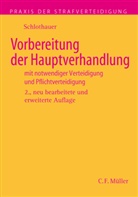 Reinhold Schlothauer, Reinold Schlothauer - Vorbereitung der Hauptverhandlung durch den Verteidiger