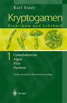 K. Esser, Karl Esser, D. Graw, H. -J. Rathke, K. Esser, D. Graw... - Kryptogamen - 1: Cyanobakterien Algen Pilze Flechten. Praktikum und Lehrbuch