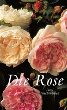 Die Rose