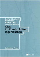 Ruth Kasper, Gerhard Sedlacek, Frank Wellershoff - Glas im Konstruktiven Ingenieurbau