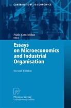 Pablo Coto-Millan, Pabl Coto-Millán, Pablo Coto-Millán - Essays on Microeconomics and Industrial Organisation