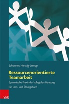 Johannes Herwig-Lempp - Ressourcenorientierte Teamarbeit