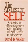 Wexler, David B. Wexler - Adolescent Self