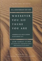 Jon Kabat-Zinn - Wherever You Go, There You Are