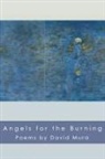 David Mura, Mr David Mura - Angels for the Burning