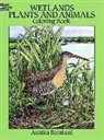 Bernhard, Annika Bernhard, Coloring Books - Wetlands Plants and Animals Colouring Book