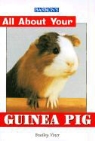 Bradley Viner, Bradley Viner B. Mrcvs, Bradley Viner B. Vet Med Mrcvs - All About Your Guinea Pig