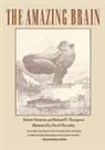 Robert E. Crnstein, David Macaulay, Robert Ornstein, Robert E. Ornstein, Robert E./ Thompson Ornstein, Richard Thompson - The Amazing Brain