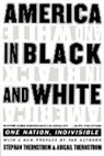 Abigail Thernstrom, Stephan Thernstrom - America in Black and White