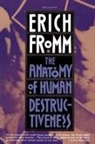 Erich Fromm - The Anatomy of Human Destructiveness