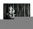 Ansel Adams, San Francisco Museum of Modern Art, John Szarkowski - Ansel Adams at 100