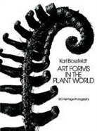 Karl Blossfeldt - Art Forms in the Plant World