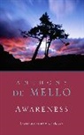 Anthony De Mello, J. Francis Stroud - Awareness