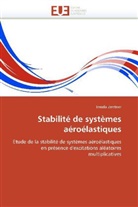 Irmela Zentner, Zentner-I - Stabilite de systemes aeroelastique