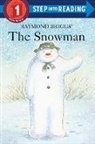 Raymond Briggs, Michelle Knudsen, Maggie Downer - The Snowman