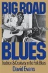 David Evans - Big Road Blues
