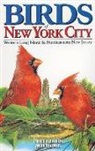 Andy Bezener, Chris Fisher - Birds of New York City