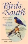 Charlotte Hilton Green - Birds of the South