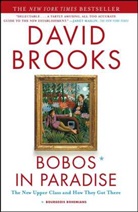David Brooks - Bobos in Paradise