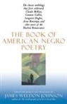 James Weldon Johnson, James Weldon Johnson - The Book of American Negro Poetry