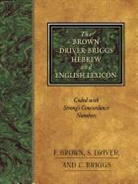 C. Briggs, Charles A. Briggs, Francis Brown, S. Driver, S. R. Driver, E. Brown... - Brown driver briggs hebrew english
